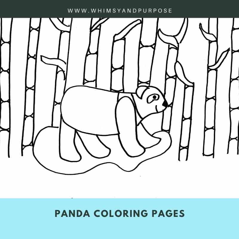 Free Little Panda Coloring Pages – Sillygeese Publishing