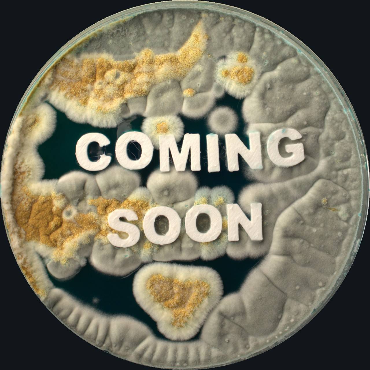 Placa de Petri com fungos a formar as palavras COMING SOON
