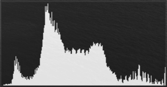 the histogram