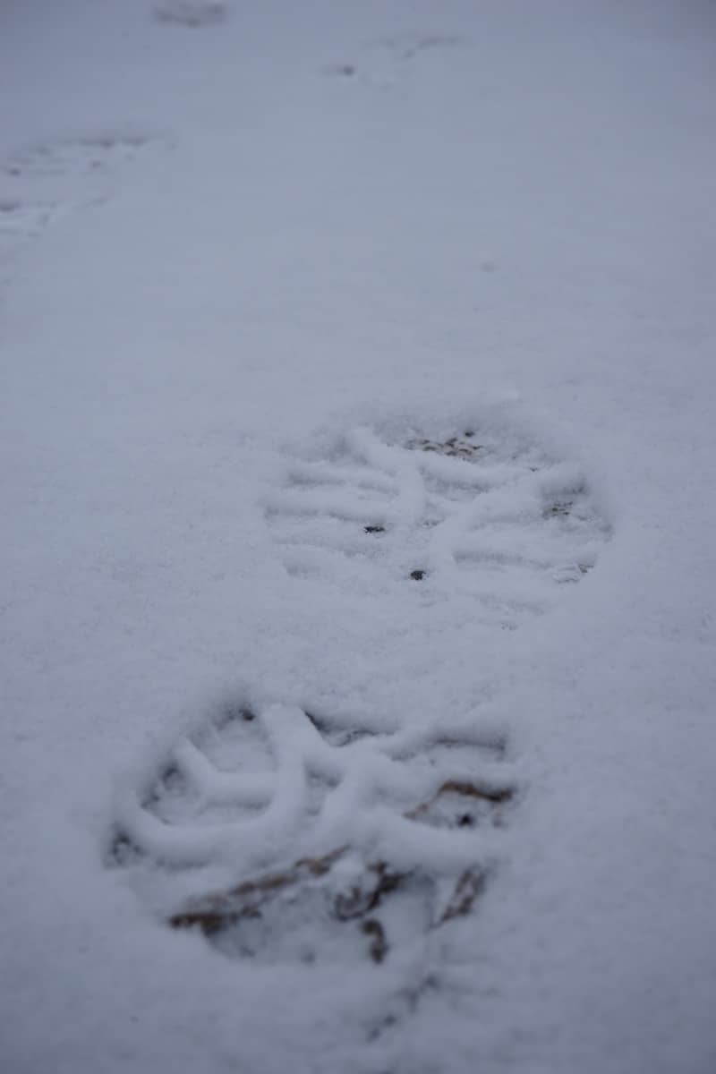 Footprints in fresh snow on a winter day