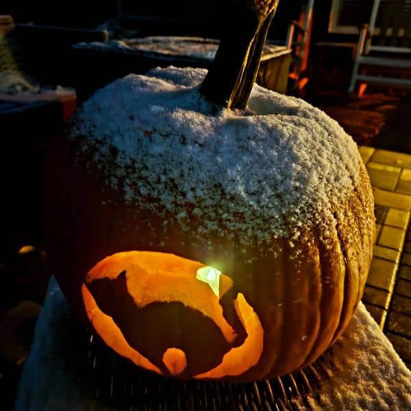 jack-o-lantern with snow on it