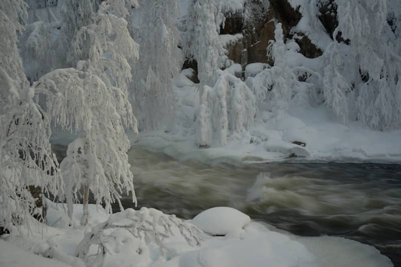 Frozen trees and river in a snowy landscape