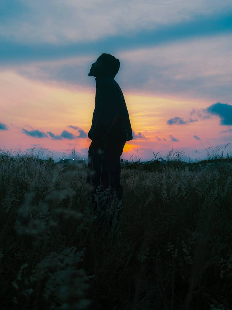 A person in silhouette stands in a field at sunset.