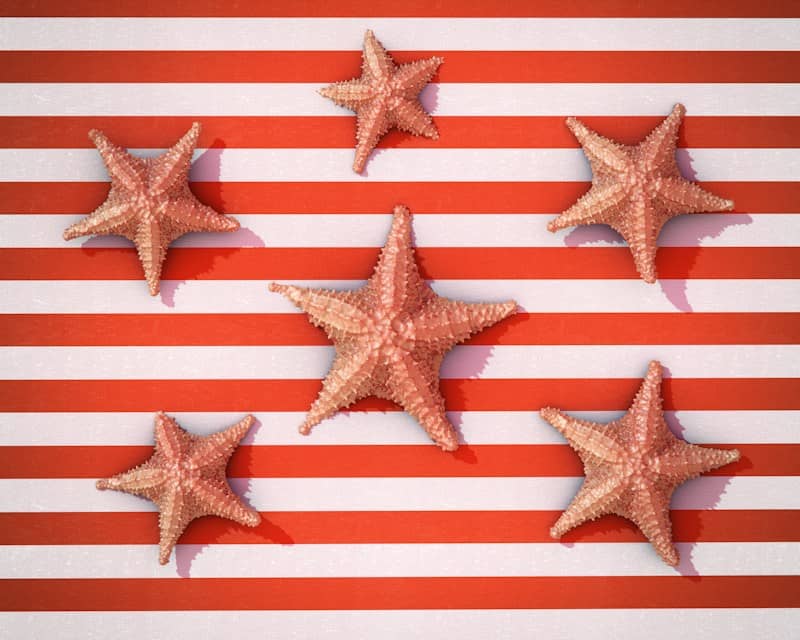 Starfish on red and white striped background