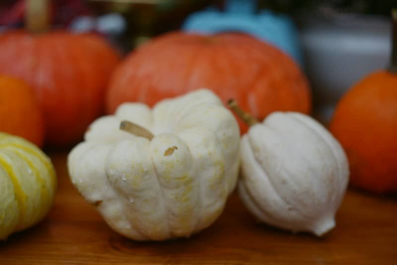 Two small white pumpkins beside larger orange pumpkins on a wooden surface