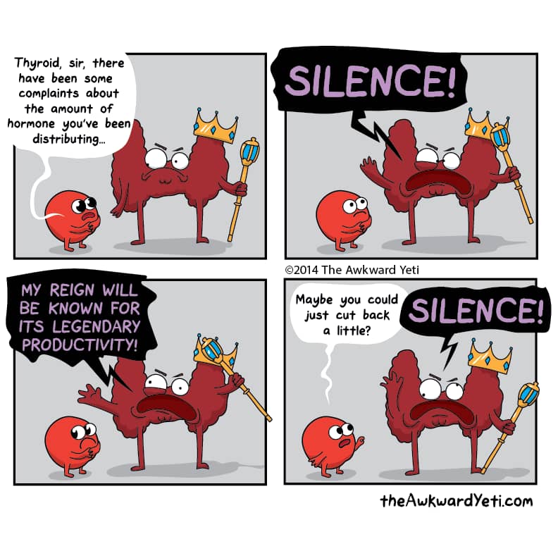 How hyperthyroidism works (The Awkward Yeti)