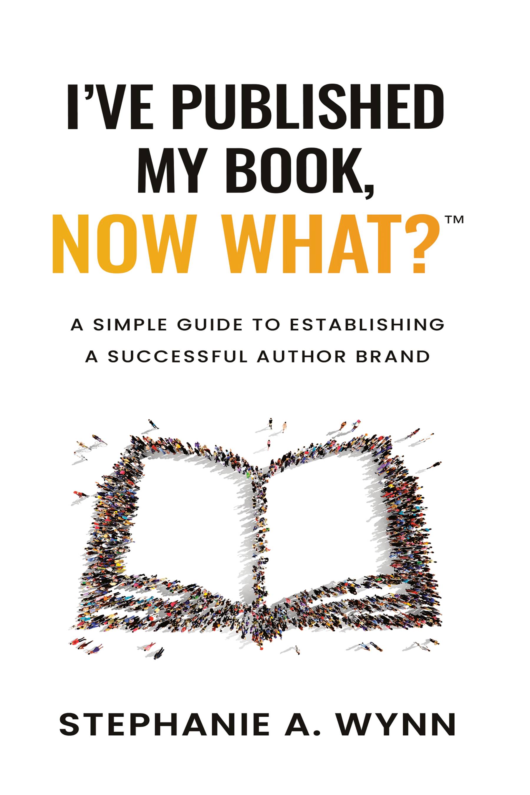 I've Published My Book, Now What? E-Book