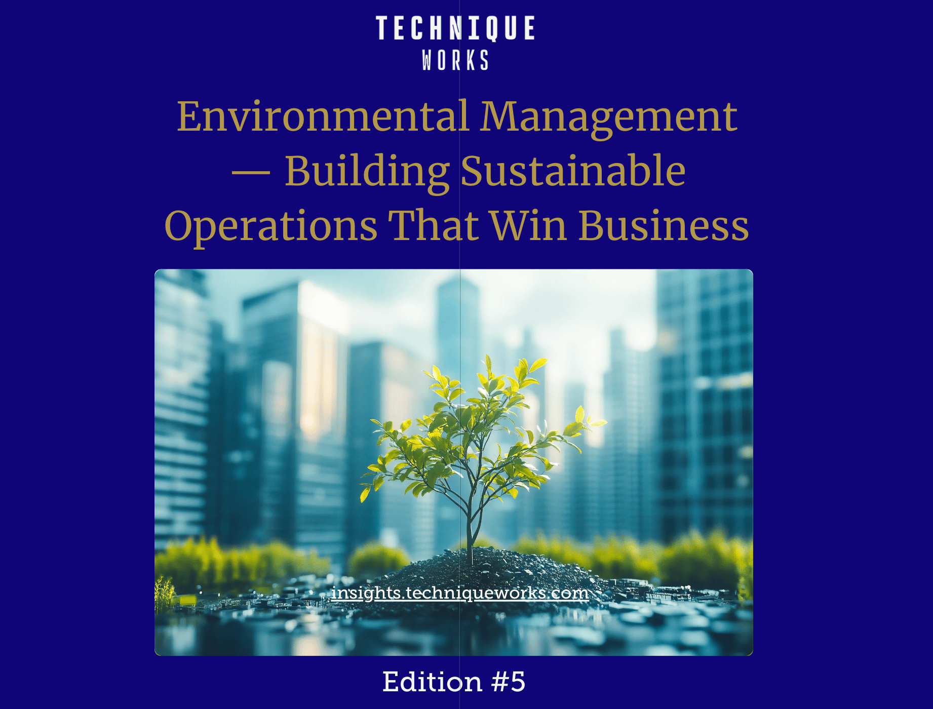 Environmental Management — Building Sustainable Operations That Win Business