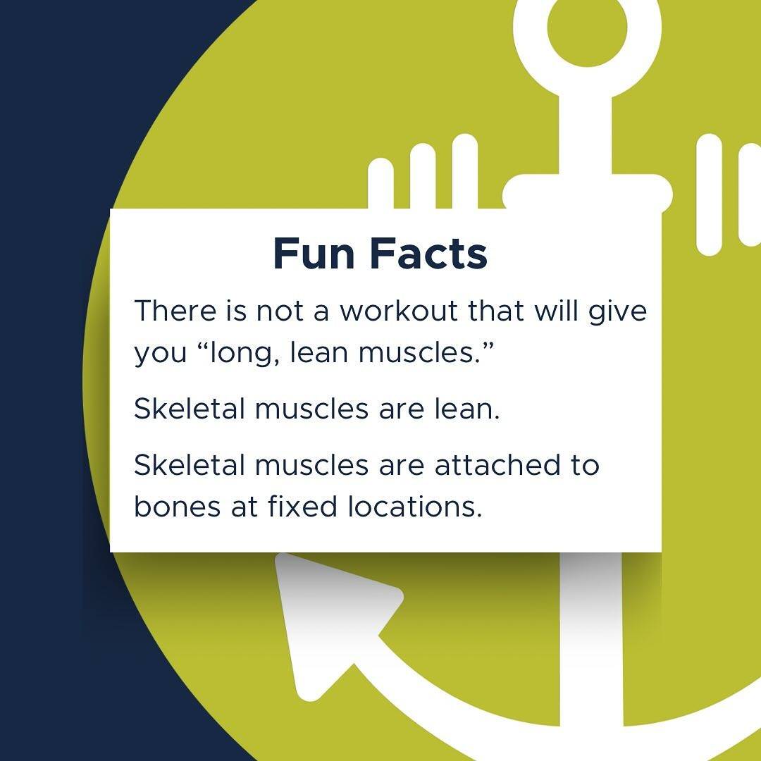 “Buy my program for long, lean muscles.”

It’s not a new marketing tactic of fitness influencers, even smart fitness professionals who KNOW that our muscles cannot get longer. Barring really painful surgery.

First, skeletal muscle is already lean.
Second, skeletal muscle attaches to bone at two or more places. Meaning you cannot change where your bicep is attached at the originate at your shoulder blade or insert at your elbow joint.

“Long, lean” muscles is a ploy to play off women’s fear of getting “bulky” (gaining weight, being in a larger, manly, or fat body that our culture perceives as not feminine or good enough). Otherwise known as fat phobia and anti-fat bias.  And the ploy works.  If it didn’t we wouldn’t see the marketing geared towards fear.

What if instead, we focus on gaining strength and the benefits of increased muscle mass as we age? 

Helps with metabolic health
Supports immune system
Stronger bones
Improved balance
Decreased risk of falls and injuries 
Faster recovery
Improved heart health and cognition

Just to name a few.

Fitness and strength are about so much more than aesthetics.