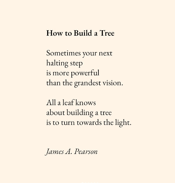 How to Build a Tree: Sometimes your next/halting step/is more powerful / than your grandest vision. All a leaf knows / about building a tree / is to turn towards the light.