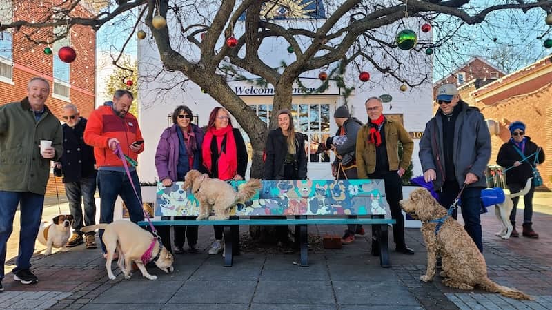 dog  bench in shepherdstown