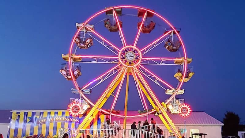 ferris wheel lit at night