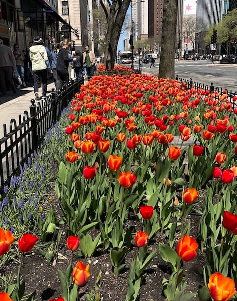 Remember: After a harsh season, beauty returns.