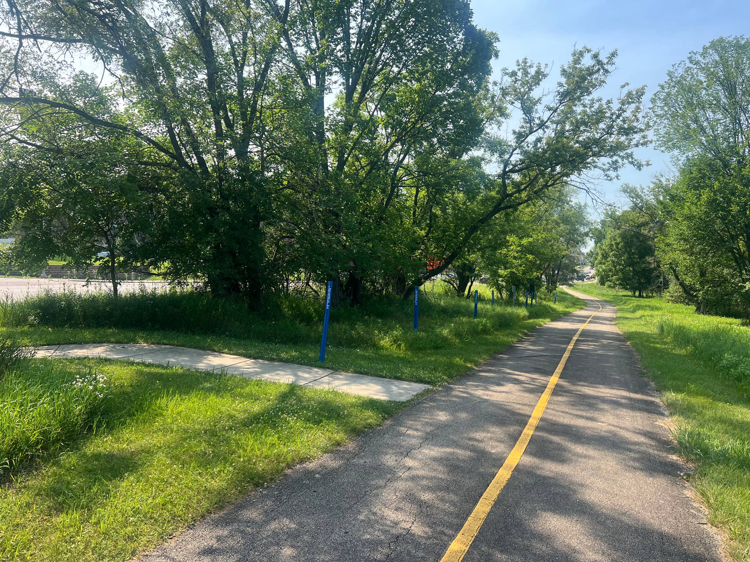 A striped bike path runs on the right past a sidewalk and trees on the left