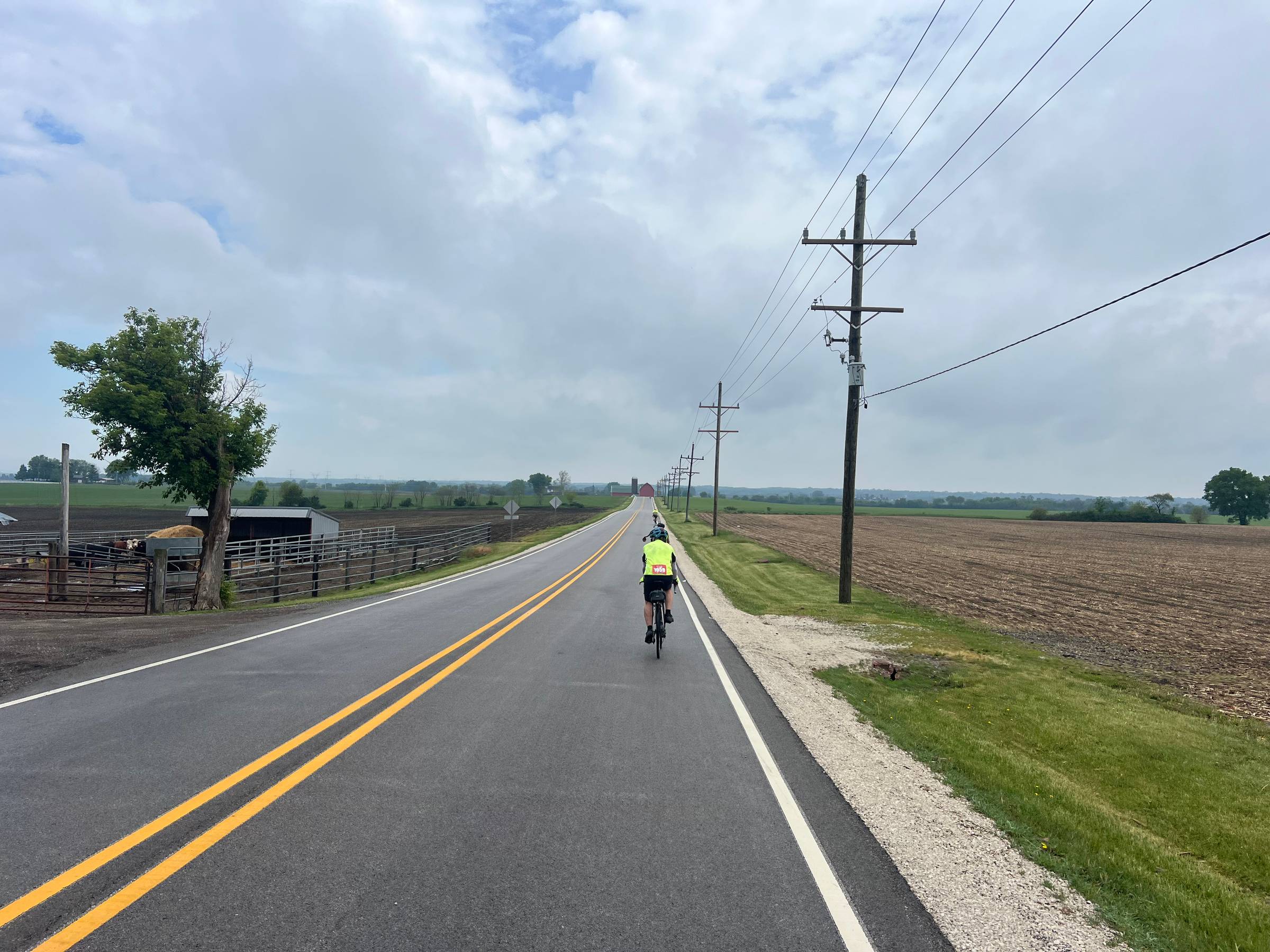 A cyclist rides down a straight two-lane road through farmland, with a tree on the left, power lines on the right and a red barn way up ahead.
