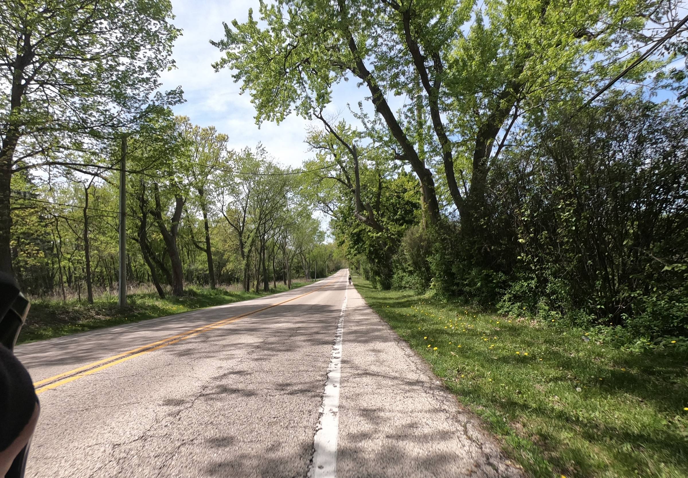 A two-lane road with a shoulder runs ahead lined with trees.