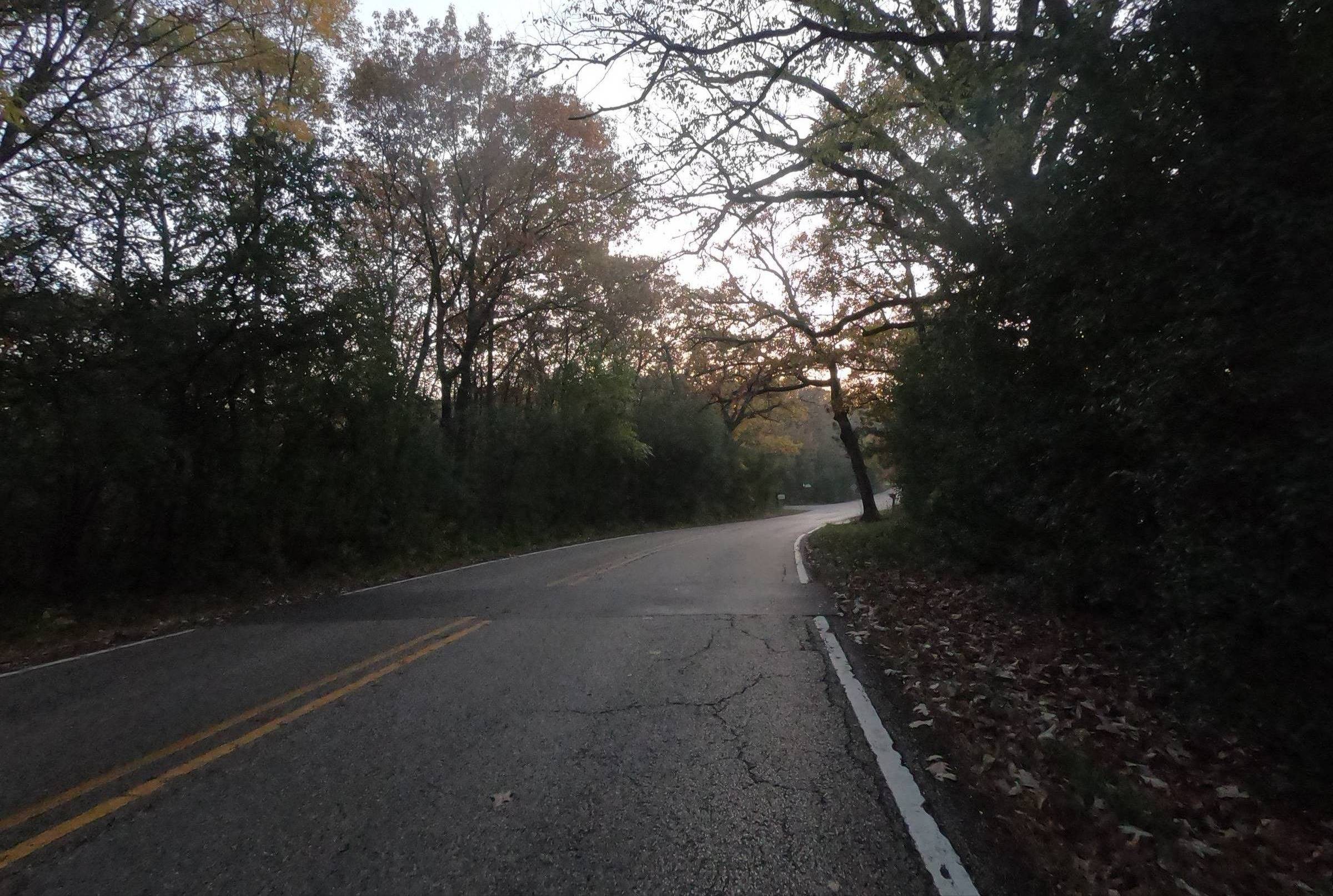 A two-lane road curves to the right through trees in the late fall with light from a setting sun in the background.
