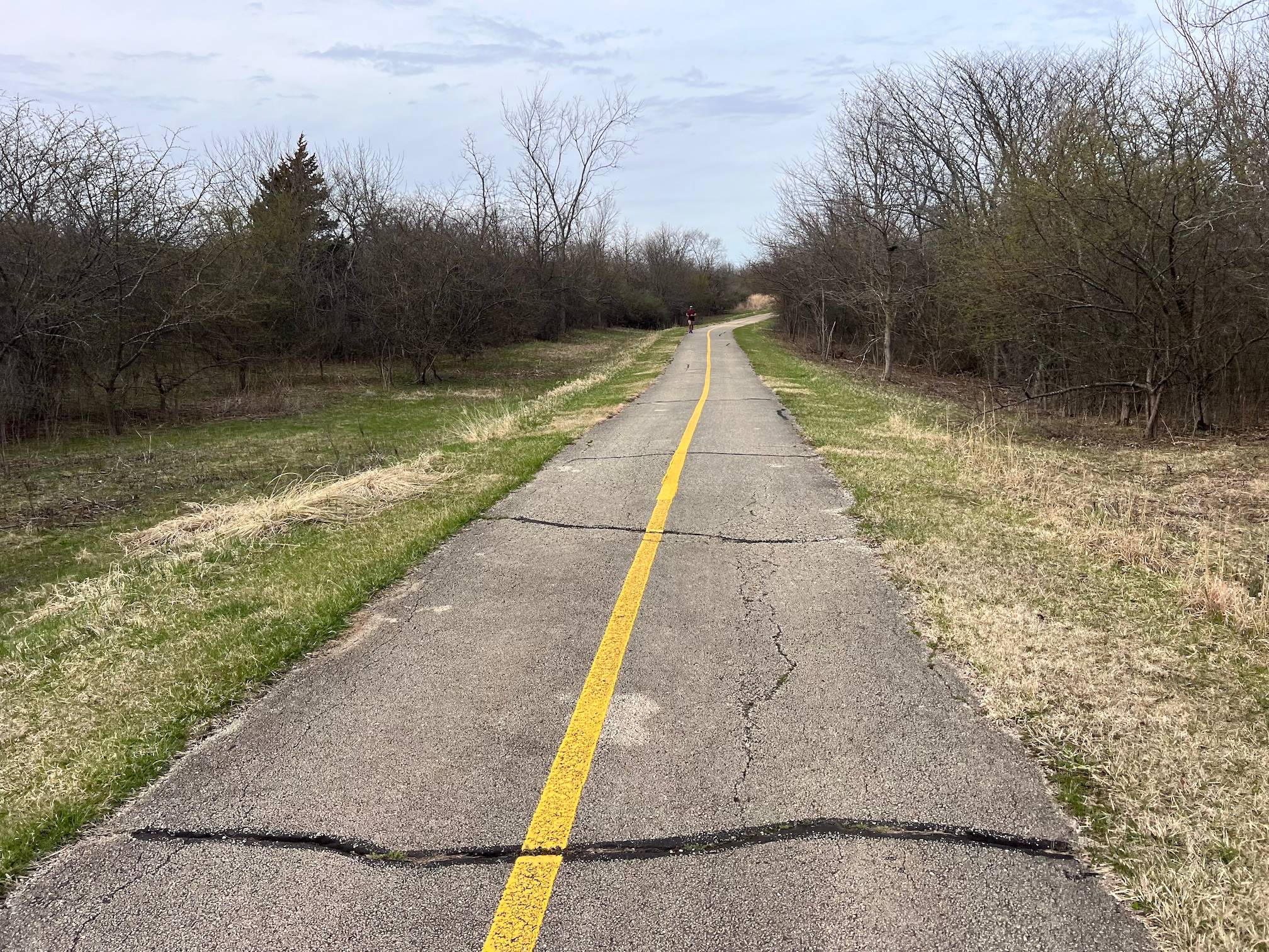 Cracks appear periodically across a striped paved trail through a forest preserve with short barren trees