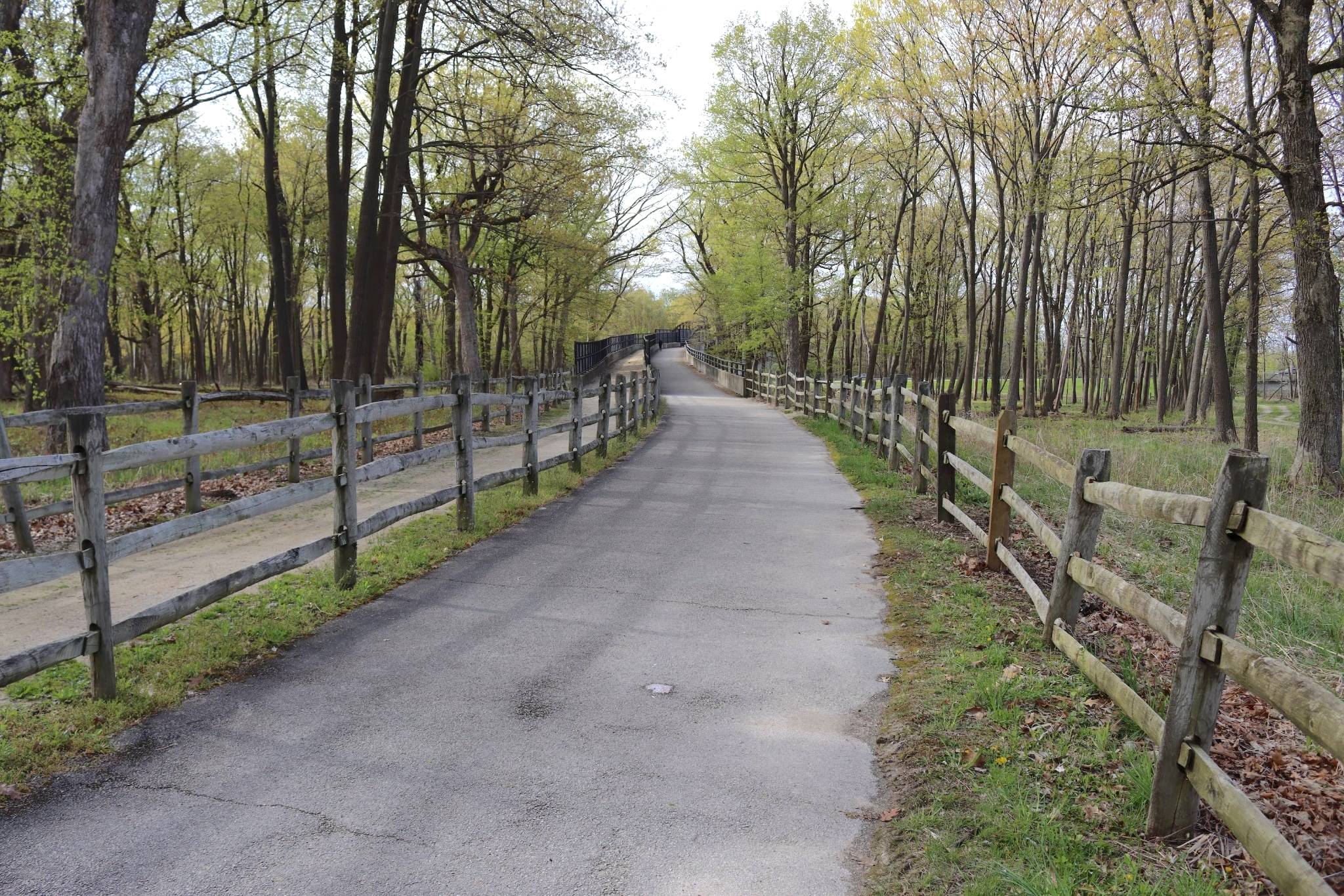 A gravel and paved path lined with wooden-rail fences leads to a bridge within a forest