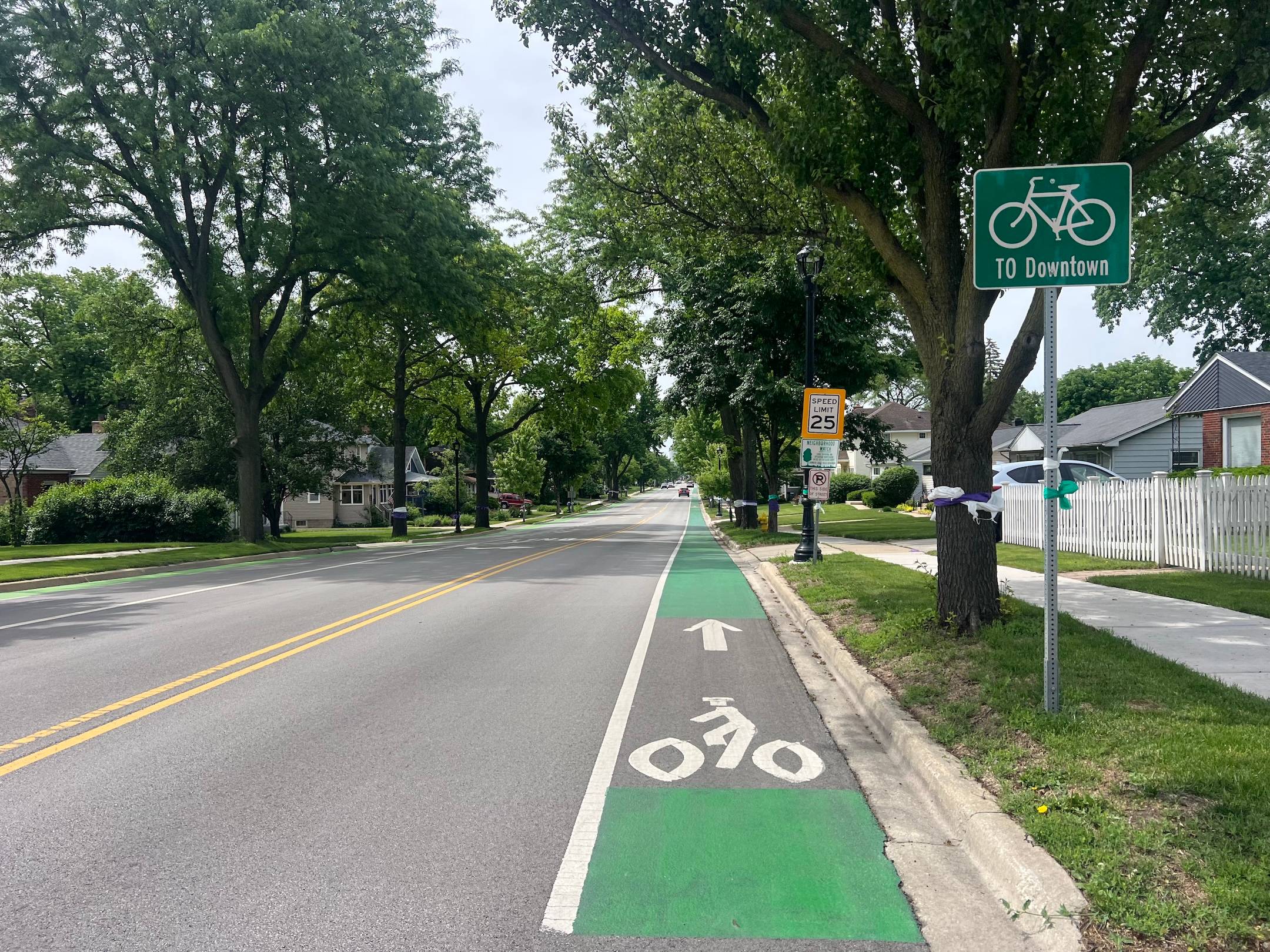 A green-painted bike lane with a bike-route sign saying "To Downtown" appears along a two-lane smooth road through a tree-lined suburb