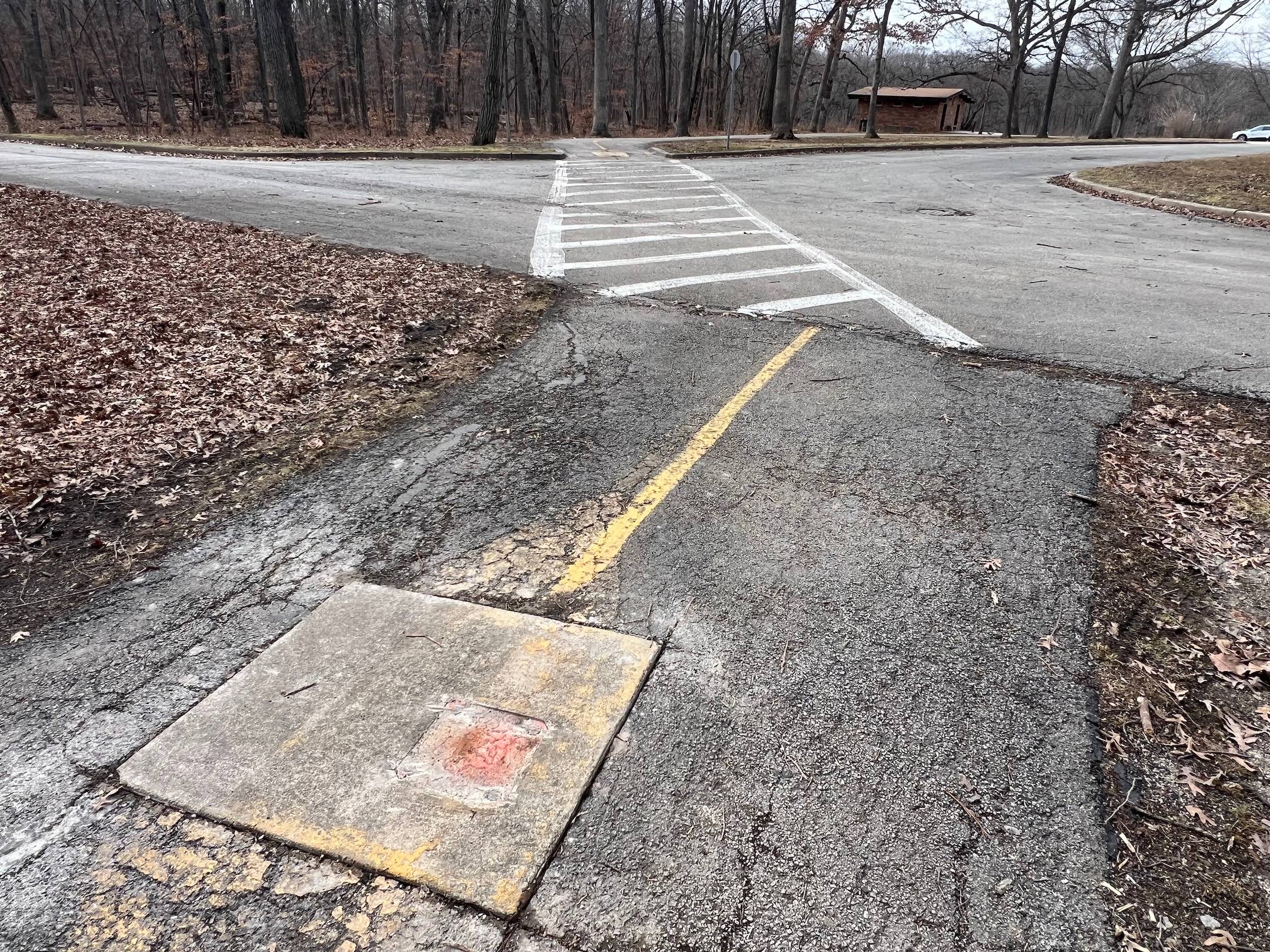 A cement square appears in the middle of a striped forest preserve bike trail at an intersection with a preserve road.