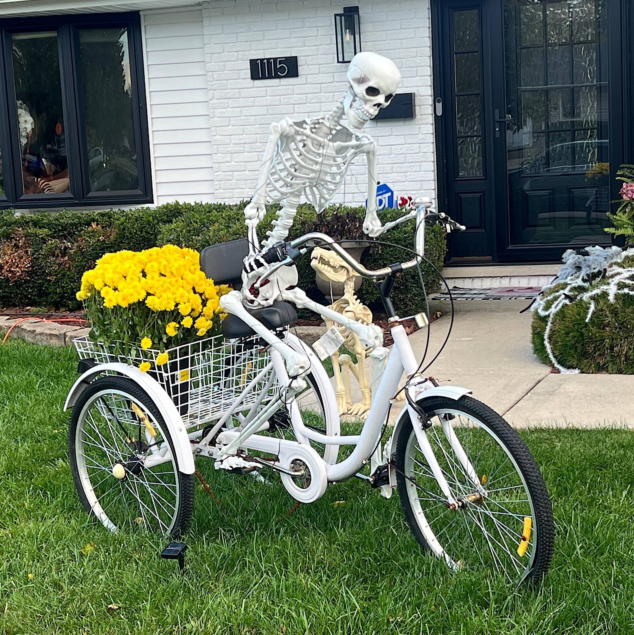 A fake skeleton is posed on a large tricycle, with yellow flowers in the bike's rear basket.