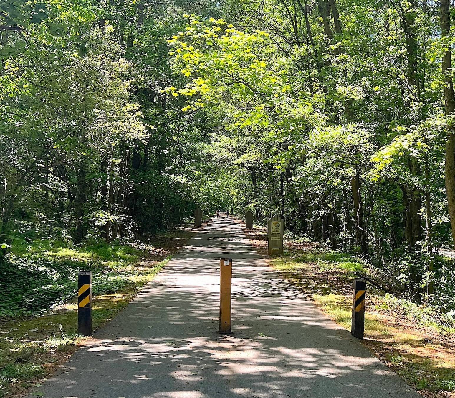 Looking down a paved trail through dense forest.