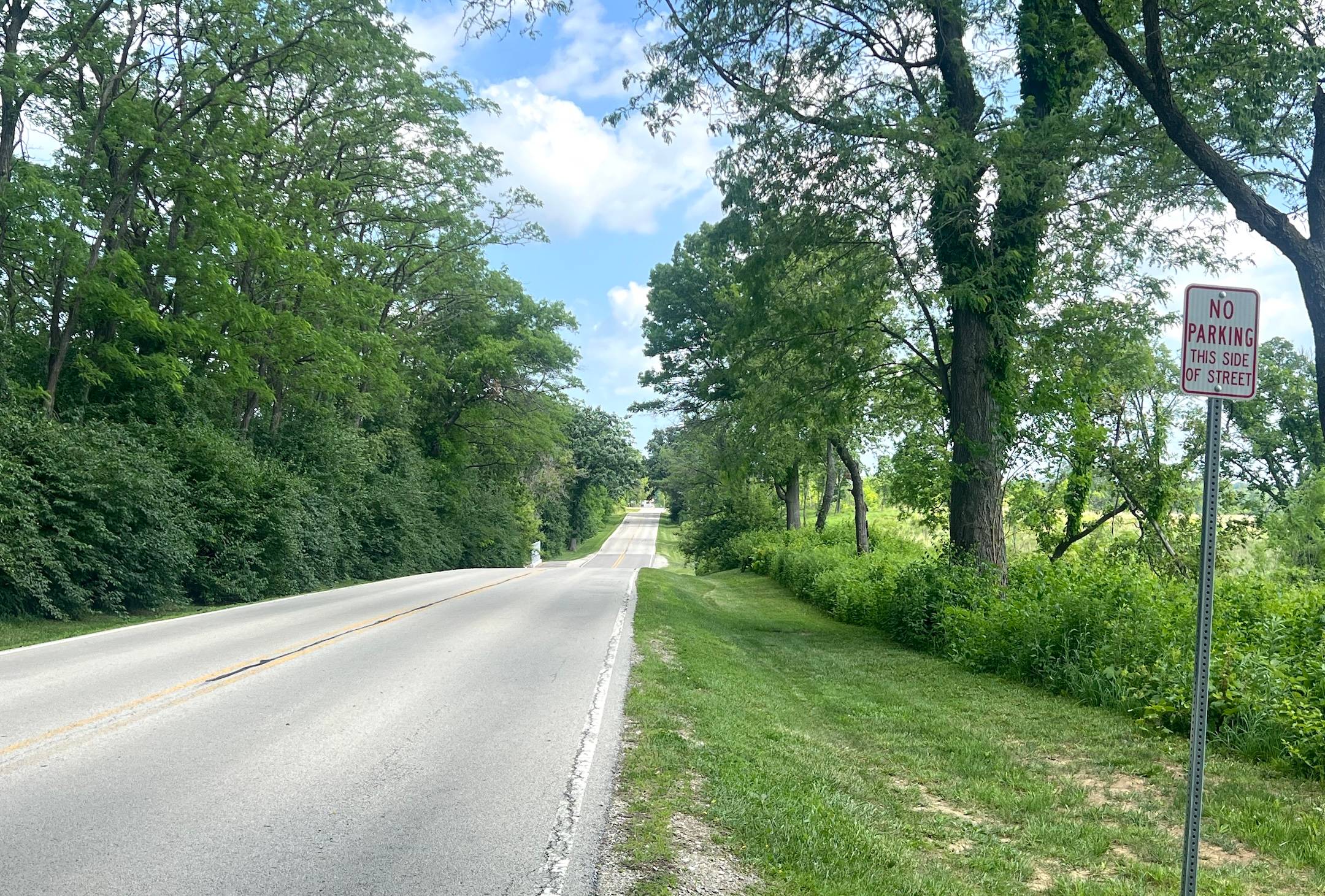 A tree-lined two-lane road rolls by prairie seen behind a strip of grass, bushes and trees on the right, with a No Parking sign up front.