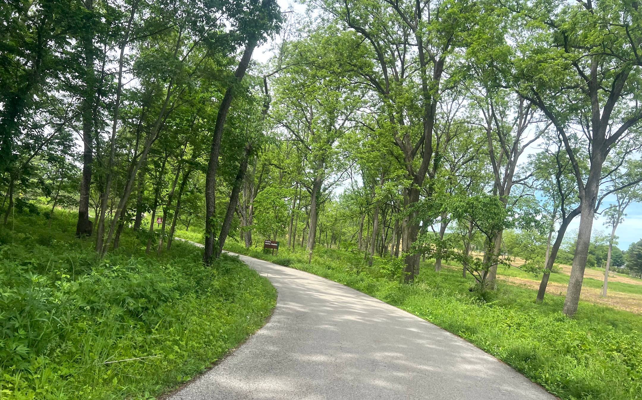 A road curves left through green trees and shrubs with prairie in the background