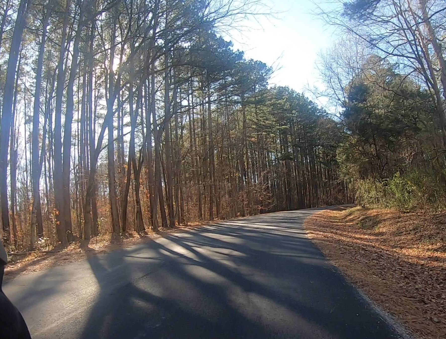 A newly paved road curves right through tall, thin trees after many brown leaves fell, while the sun sets in the background