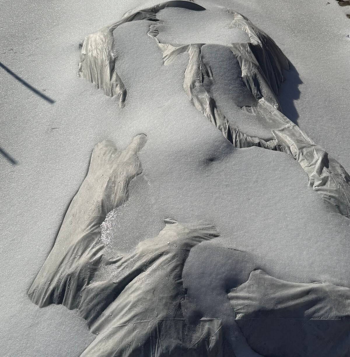 North Texas garden covered by ice and storm after winter blast. 