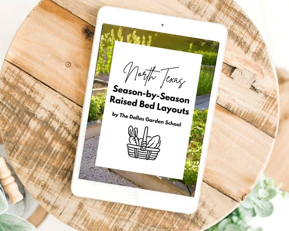North Texas 4x8 Raised Bed Garden Layouts