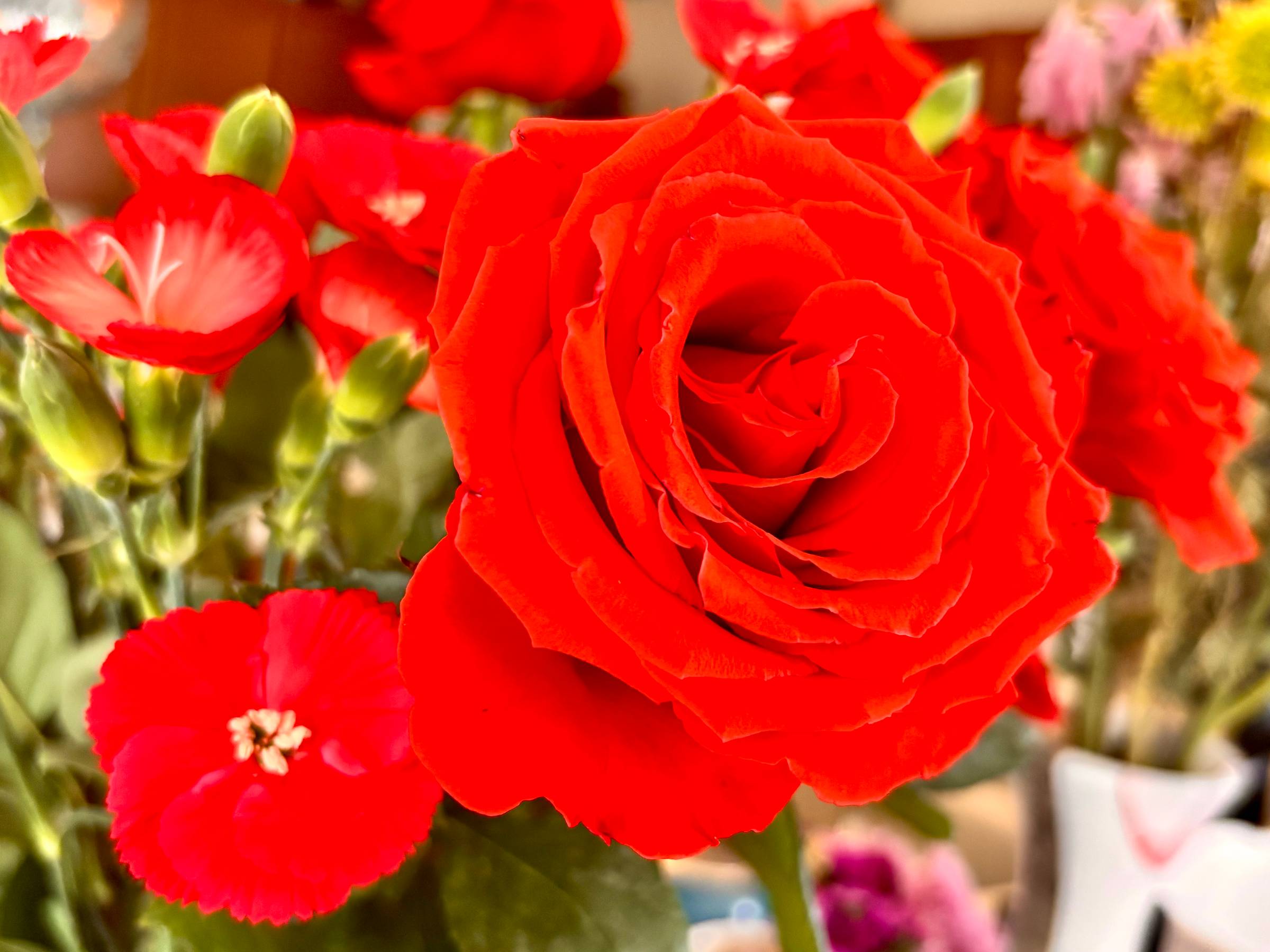 Bouquet of roses and carnations