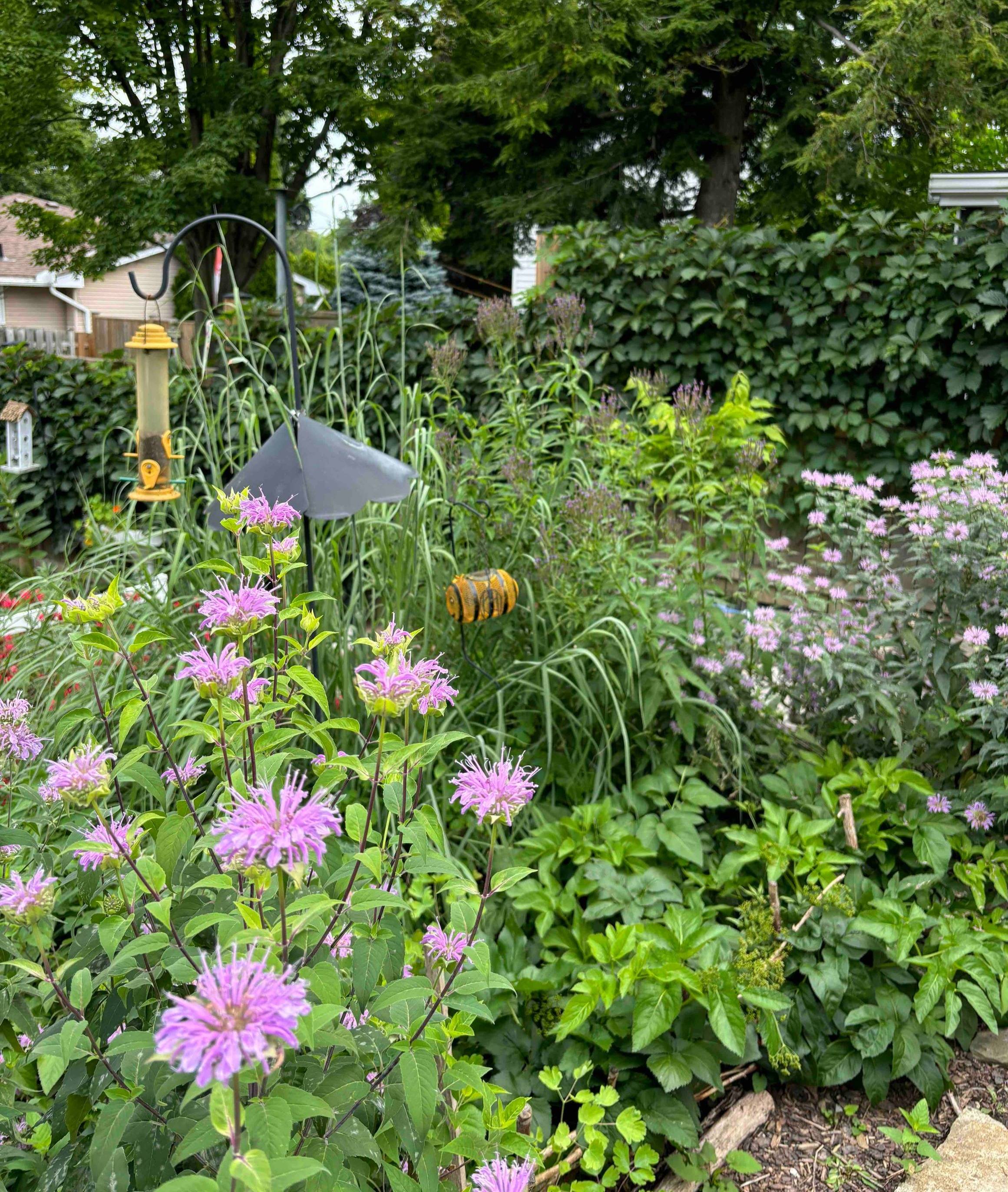 Dundas Gardeners win NANPS Award