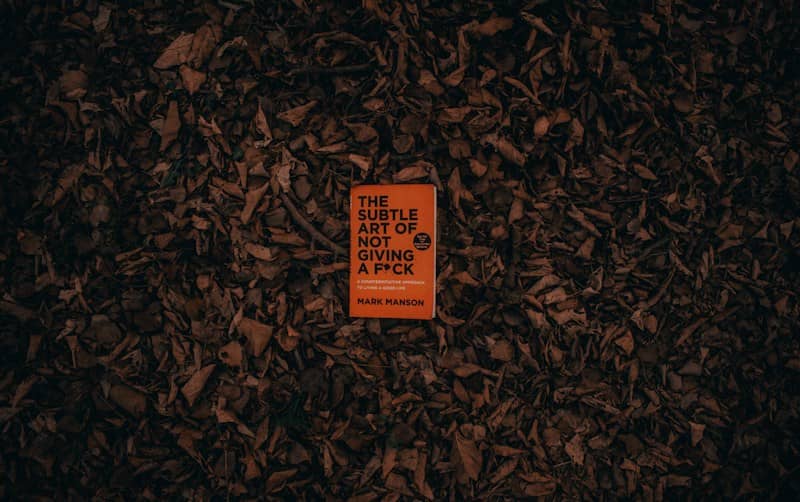 The subtle art of not giving a F**k