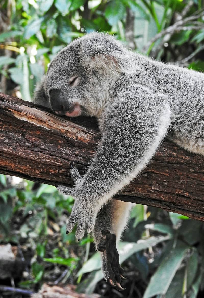 power of sleep