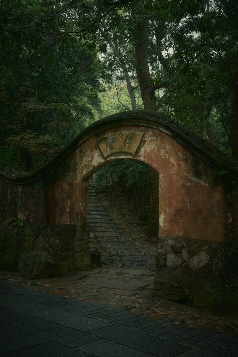 Ancient arched gateway leading to stone steps in forest