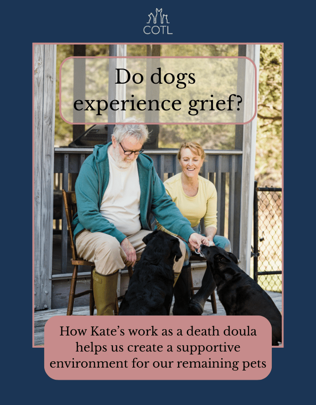 Do dogs experience grief? How Kate’s work as a death doula helps us create a supportive environment for our remaining pets
