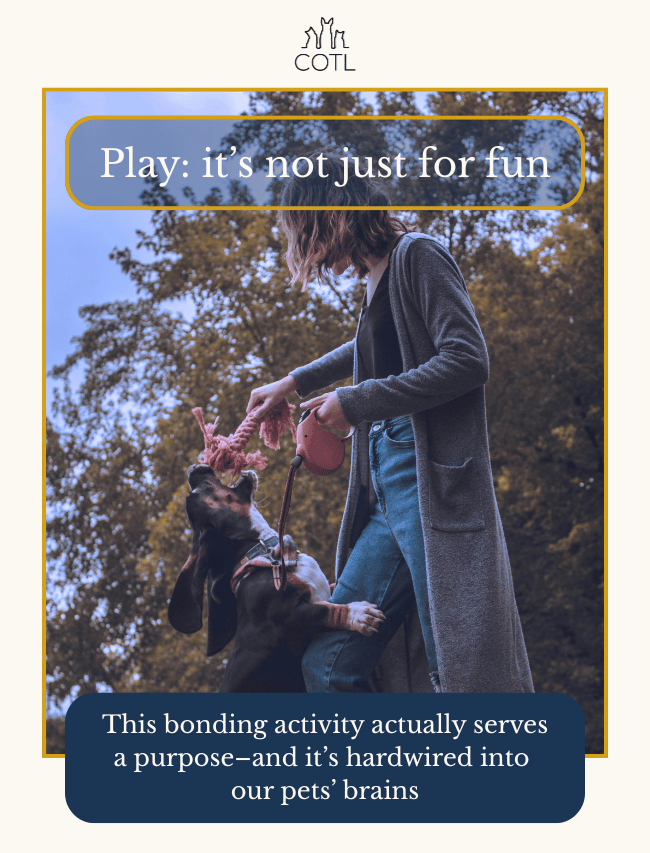Play: it’s not just for fun. This bonding activity actually serves a purpose–and it’s hardwired into our pets’ brains