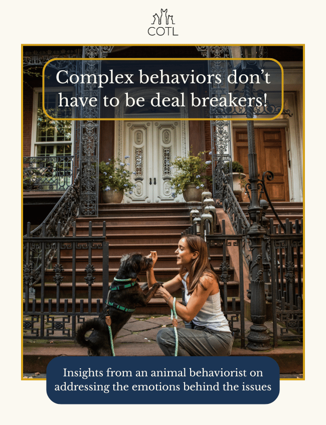 Complex behaviors don’t have to be deal breakers! Insights from an animal behaviorist on addressing the emotions behind the issues