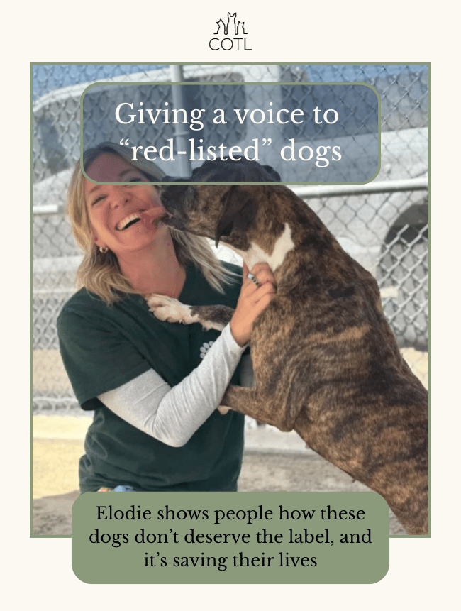 Giving a voice to “red-listed” dogs. Elodie shows people how these dogs don’t deserve the label, and it’s saving their lives