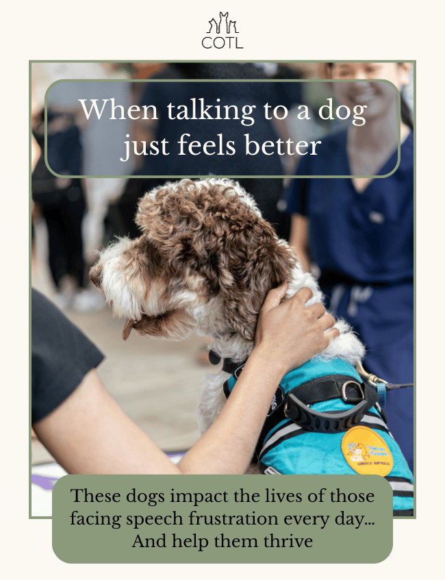 When talking to a dog just feels better. These dogs impact the lives of those facing speech frustration every day… And help them thrive