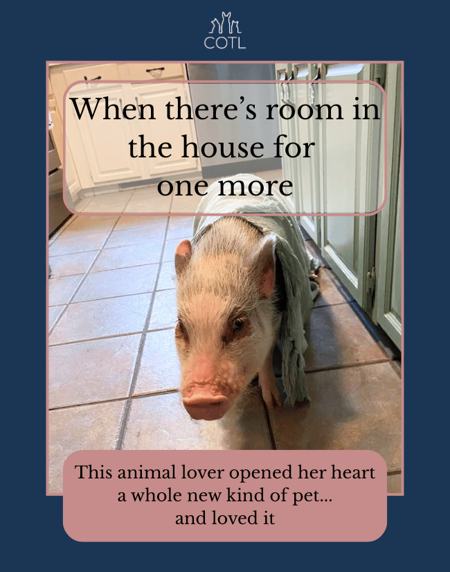 When there’s room in the house for one more. This animal lover opened her heart a whole new kind of pet–and loved it