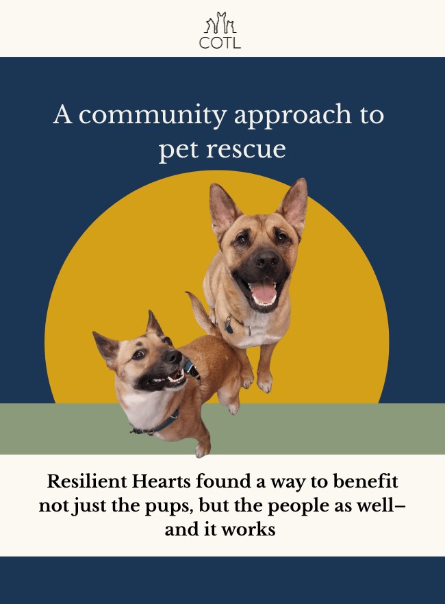 A community approach to pet rescue. Resilient Hearts found a way to benefit not just the pups, but the people as well–and it works 