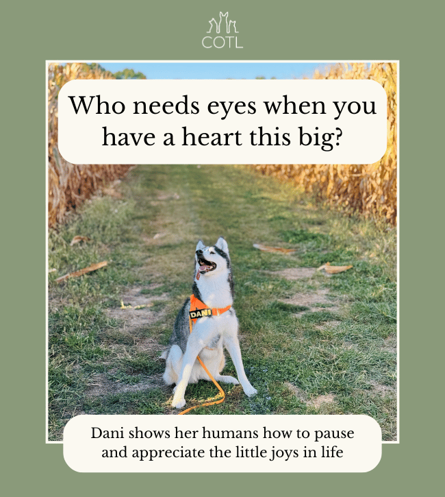 Who needs eyes when you have a heart this big? Dani shows her humans how to pause and appreciate the little joys in life