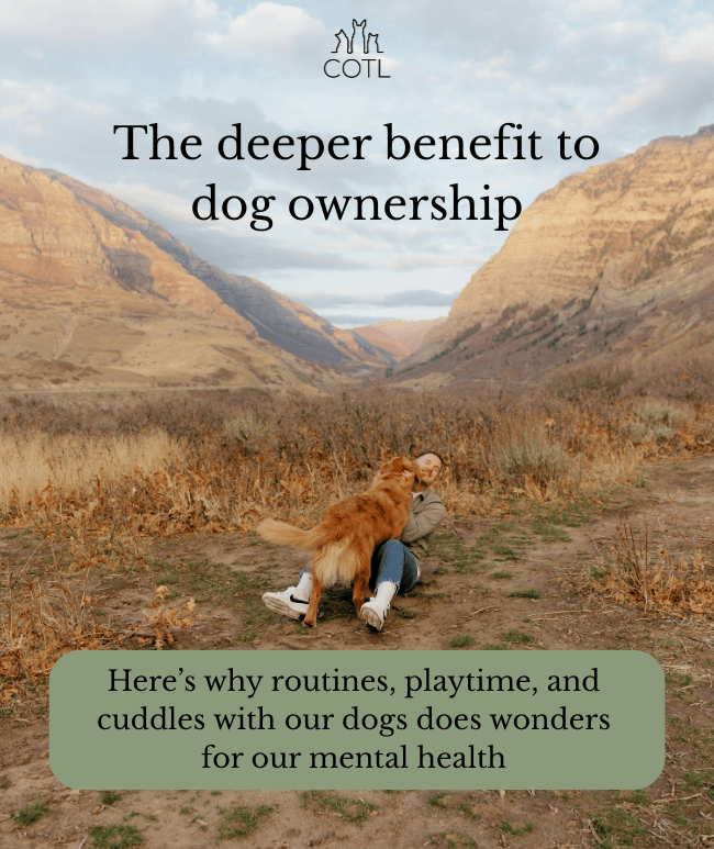 The deeper benefit to dog ownership. Here’s why routines, playtime, and cuddles with our dogs does wonders for our mental health