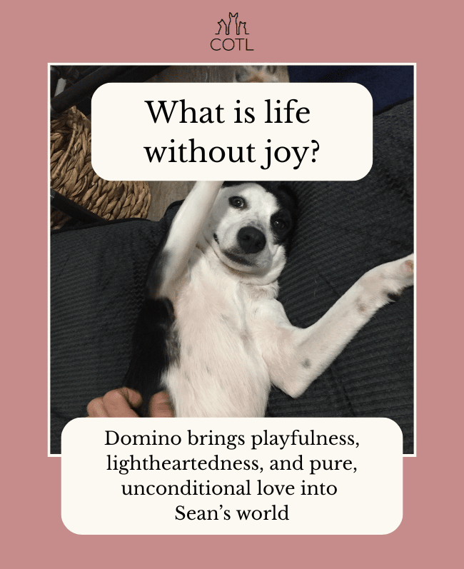 What is life without joy? Domino brings playfulness, lightheartedness, and pure, unconditional love into Sean's world.
