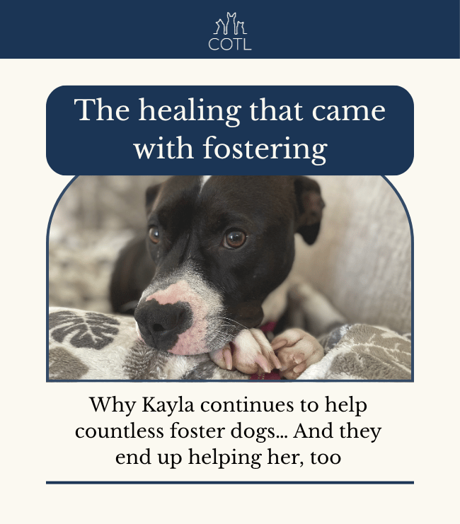 The healing that came with fostering. Why Kayla continues to help countless foster dogs… And they end up helping her, too
