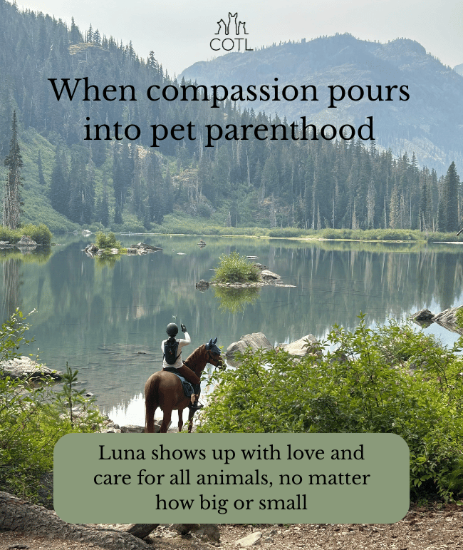 When compassion pours into pet parenthood. Luna shows up with love and care for all animals, no matter how big or small