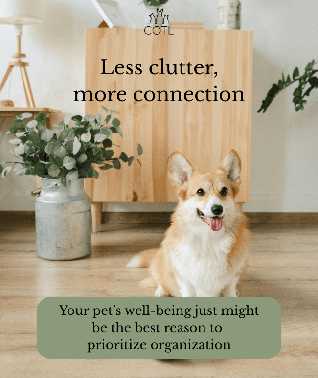 Less clutter, more connection. Your pet’s well-being just might be the best reason to prioritize organization
